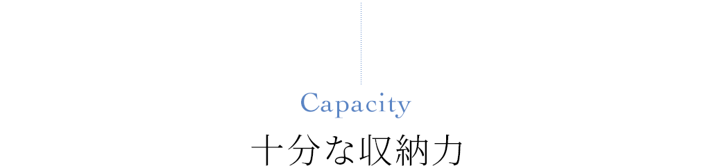 Capacity \Ȏ[