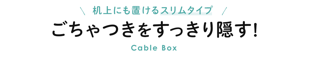 ɂuX^Cv B Cable Box