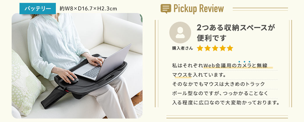 Pickup Review 2[Xy[X֗ł