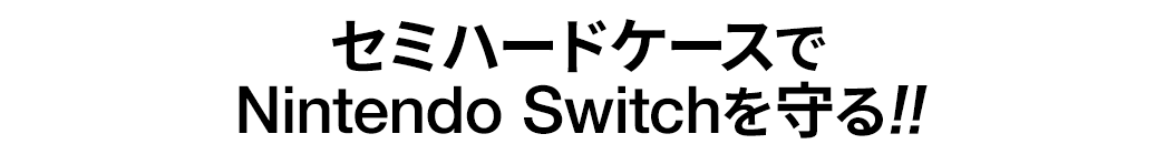 Z~n[hP[XNintendo Switch