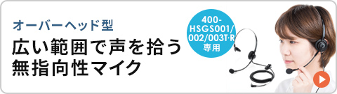 400-HSGS-HS1̉摜