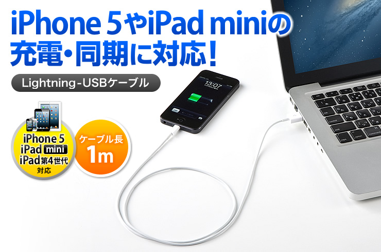 iPhone 5iPad mini ̏[dEɑΉ@Lightning-USBP[u