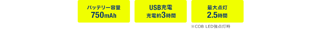 obe[e750mAh USB[d [d3 ő_2.5