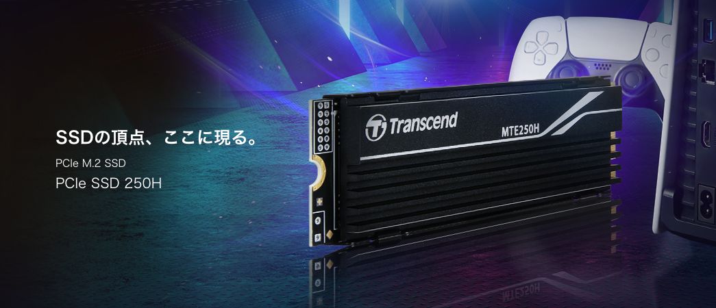 SSD̒_AɌBPCIe M.2 SSD PCIe SSD 250H