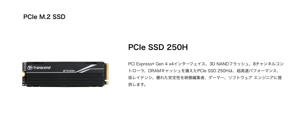 PCIe M.2 SSD PCIe SSD 250H