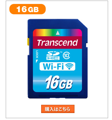 TS16GWSDHC10 16GB