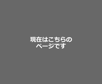 折りたたみ椅子収納台車 移動 収納 キャスター付き 100 Snc037cartの販売商品 通販ならサンワダイレクト