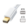 USBType-C-Mini DisplayPortϊ