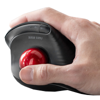 �e�w�ő���