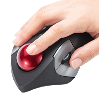 �l�����w�E���w�ő���