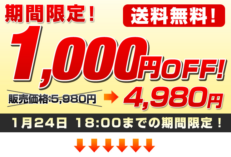 ���Ԍ���1,000�~OFF�I4,980�~