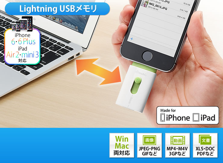 Lightning USB@iPhone 6E6PlusE5sE5cΉ