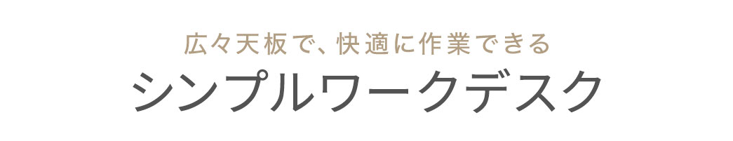 LXVŁAKɍƂłVv[NfXN