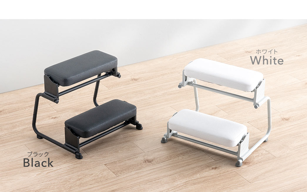 �J���[�̓u���b�N�ƃz���C�g��2�F�W�J�B