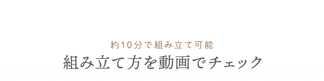 ��10���őg�ݗ��ĉ\�B�g�ݗ��ĕ��𓮉�Ń`�F�b�N�B