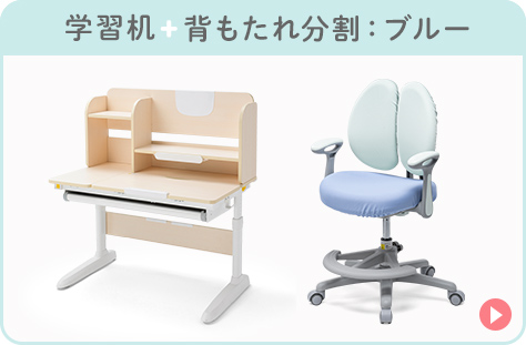 �w�K���{�w�����ꕪ��:�u���[