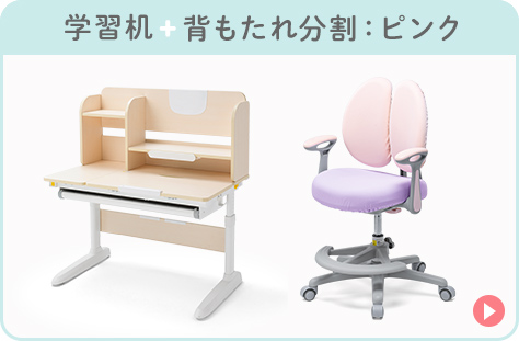 �w�K���{�w�����ꕪ��:�s���N