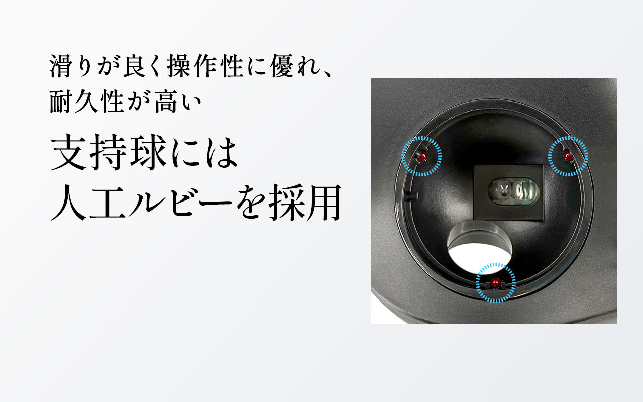 �x�����ɂ͊��肪�ǂ����쐫�ɗD��A�ϋv���������l�H���r�[���̗p