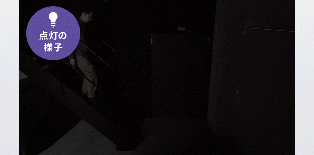 ���ۂ̘^��f���Ɠ_���̗l�q