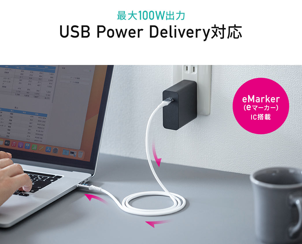 最大100W出力 USB Power Delivery対応