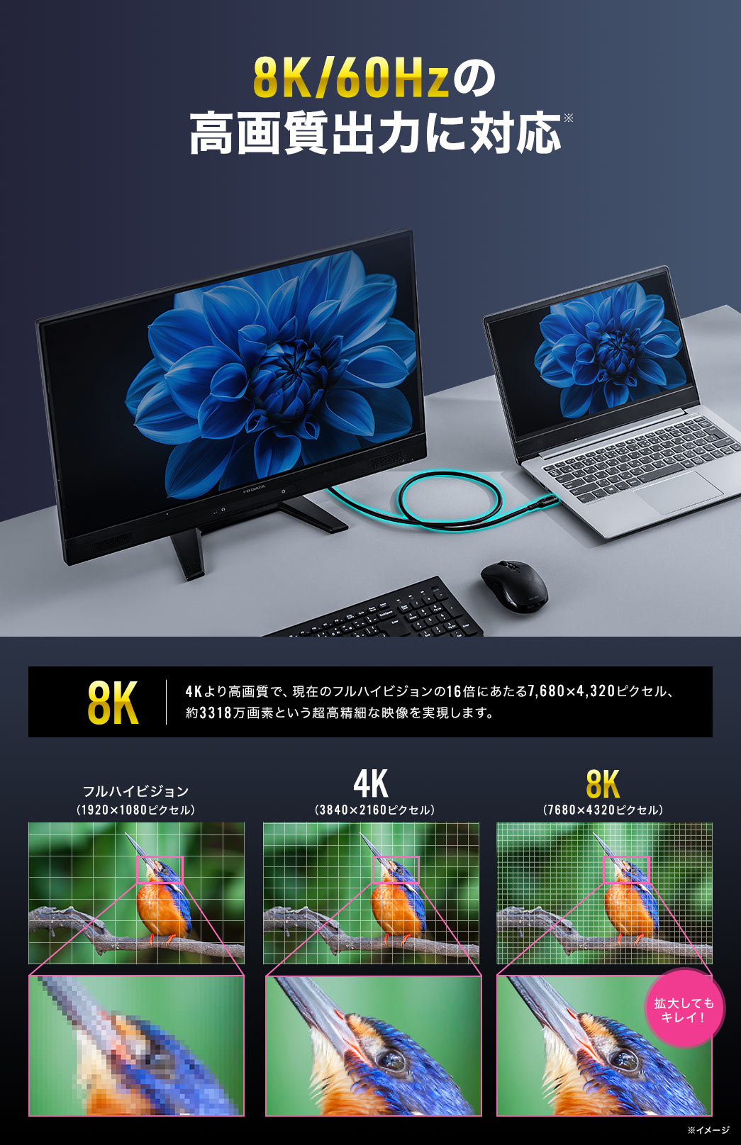 8K/60Hz̍掿o͂ɑΉ