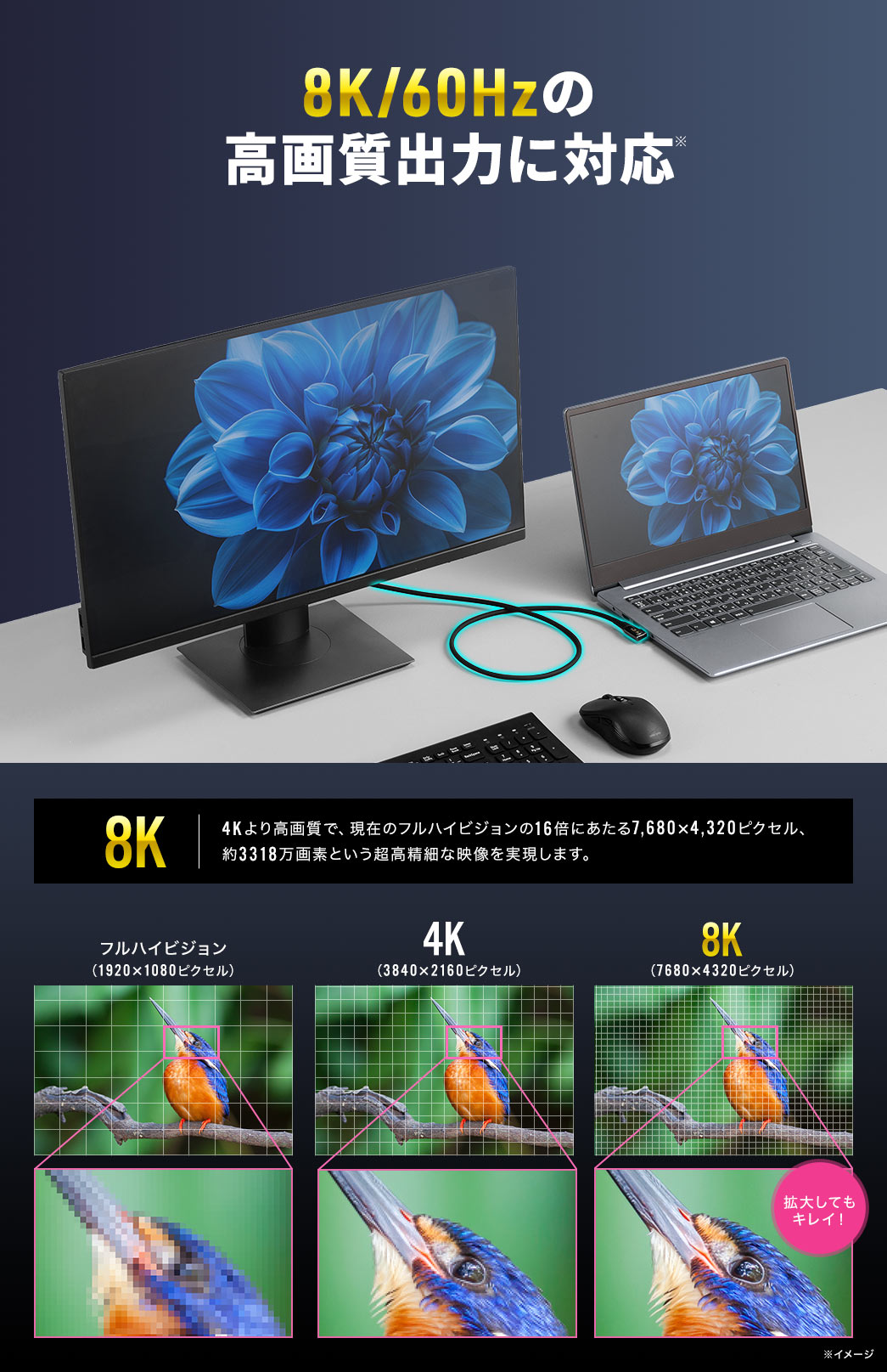 8K/60Hz 掿o͂ɑΉ