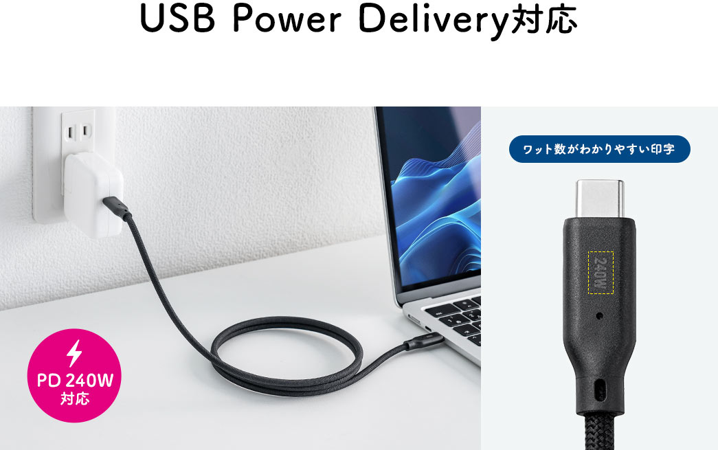 USB Power DeliveryΉ