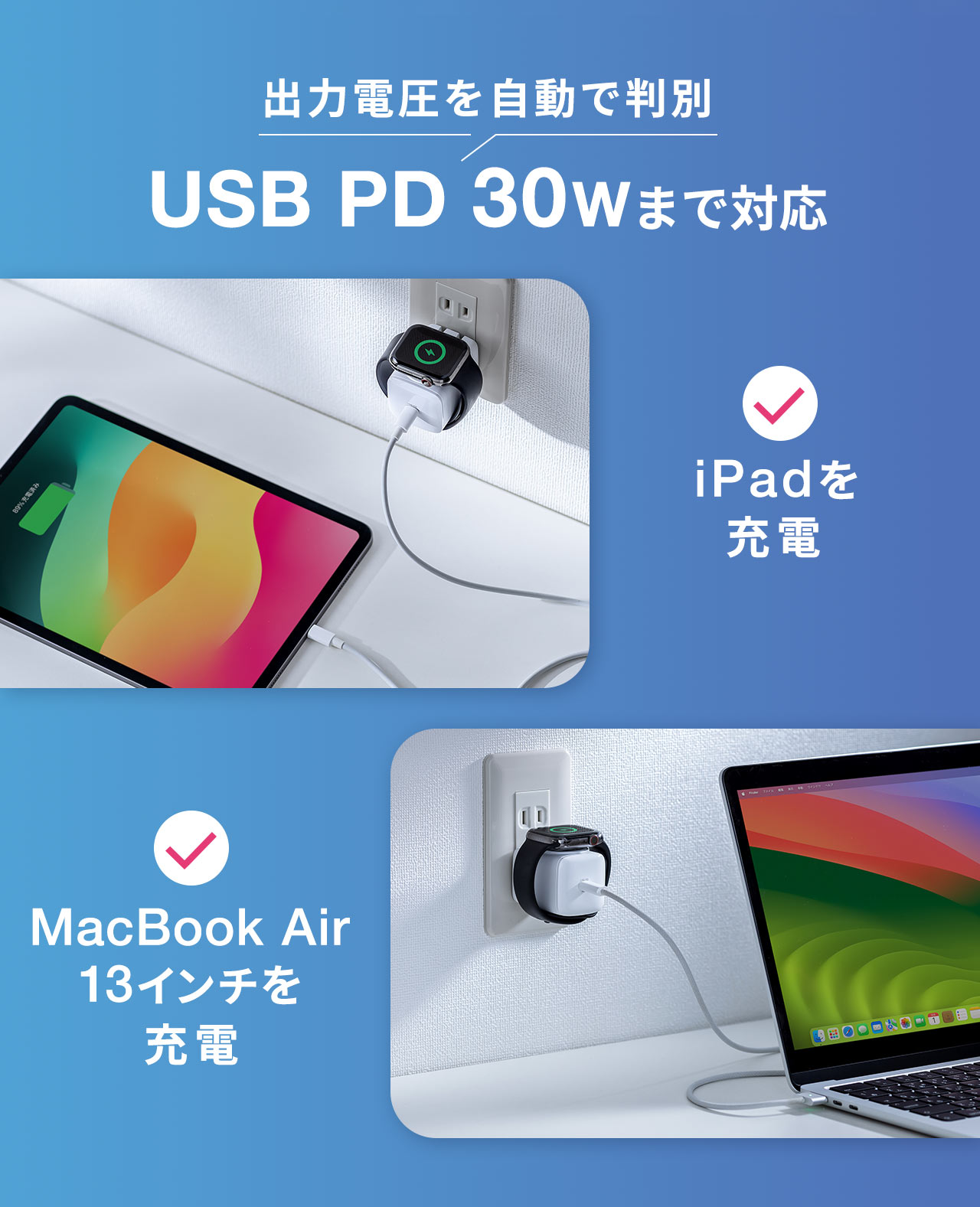 o͓dŔ USB PD 30W܂őΉ