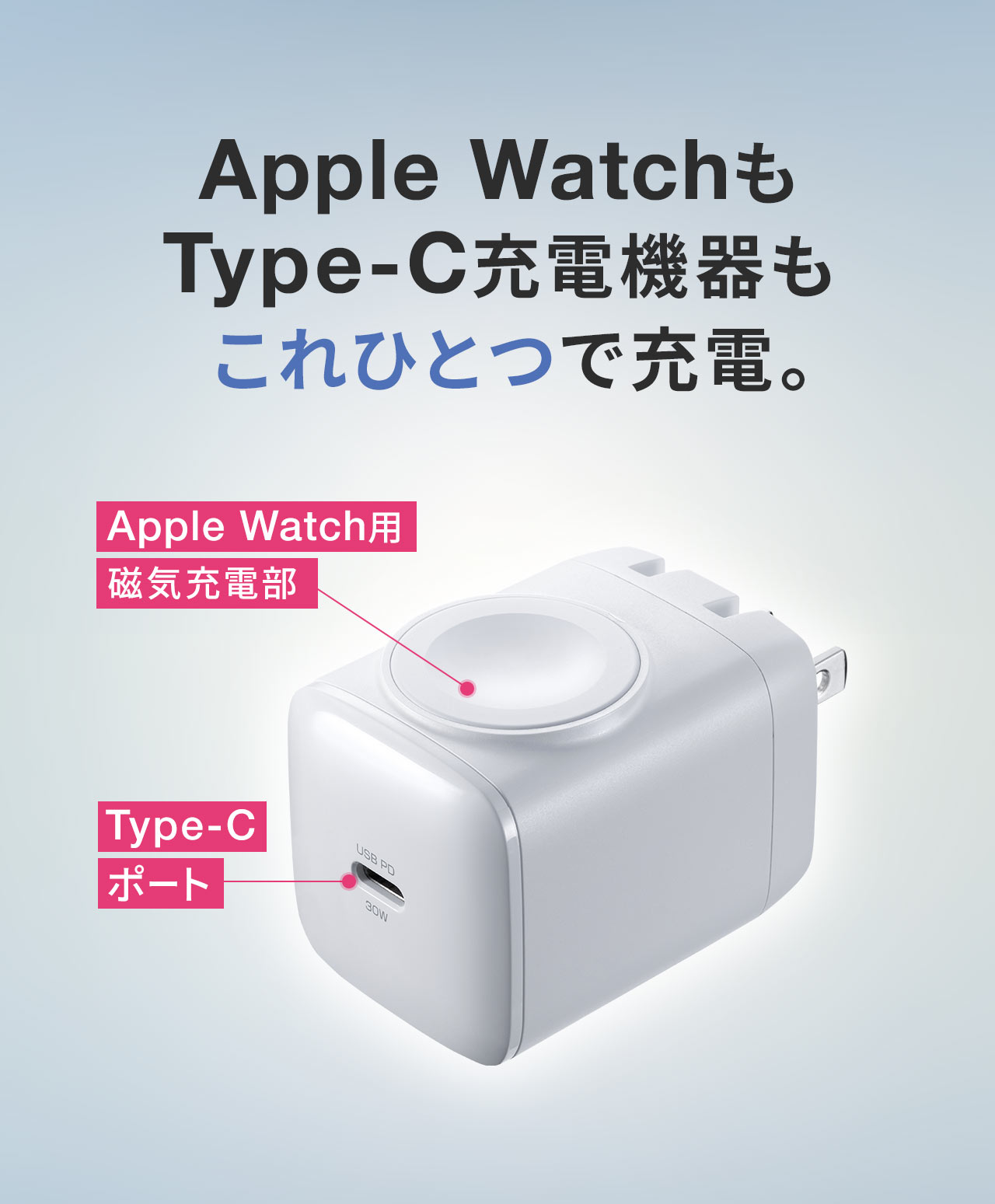 Apple WatchType-C[d@ЂƂŏ[dB