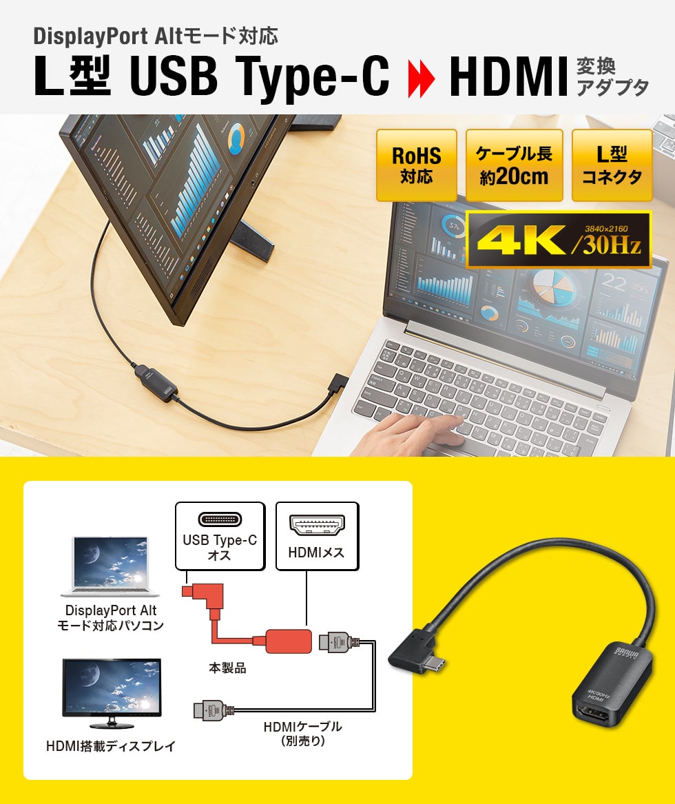 DisplayPort AltmodeΉ@L^ USB Type-CHDMIϊA_v^