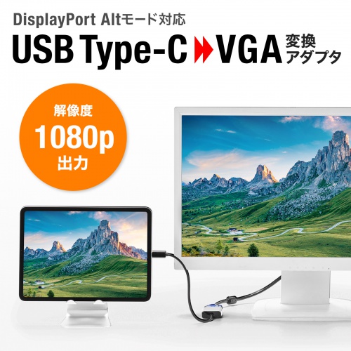 DisplayPort AltmodeΉ USB Type-CVGAϊA_v^