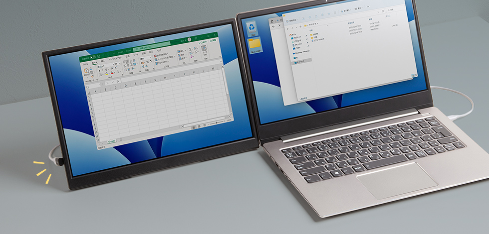 ���o�C�����j�^�[����������z��