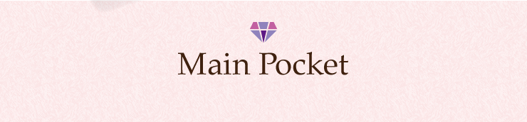 Main Pocket