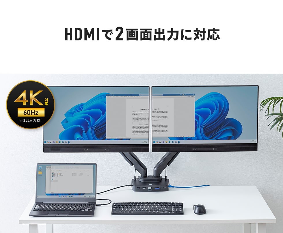 HDMI2ʏo͂ɑΉ