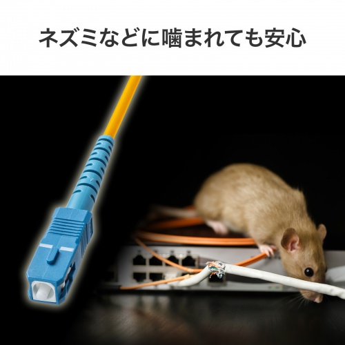 �l�Y�~�ȂǂɊ��܂�Ă����S