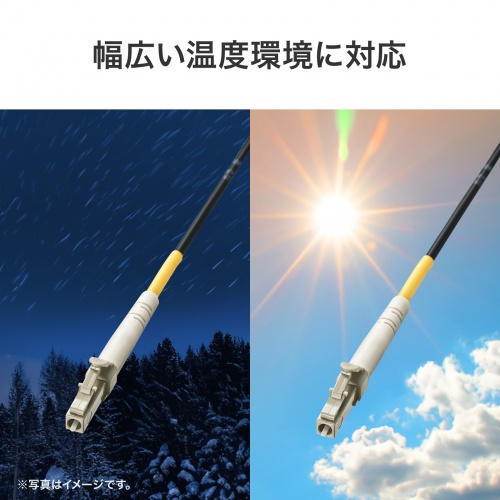 �����ɂ������ɂ�����