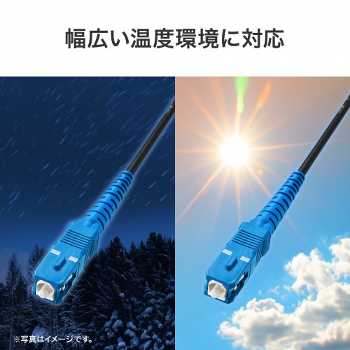 �����ɂ������ɂ�����