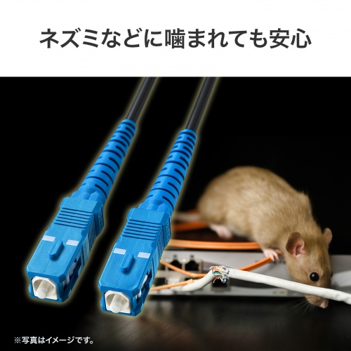 �������̊��݂��Œf�����Ȃ�