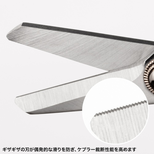 �M�U�M�U�̐n�������I�Ȋ����h���A�P�u���[�ْf���\�����߂܂�