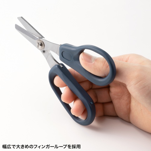 ����₷�����L�̃��[�v���̗p