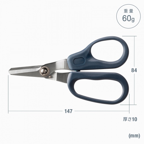 ���i�T�C�Y