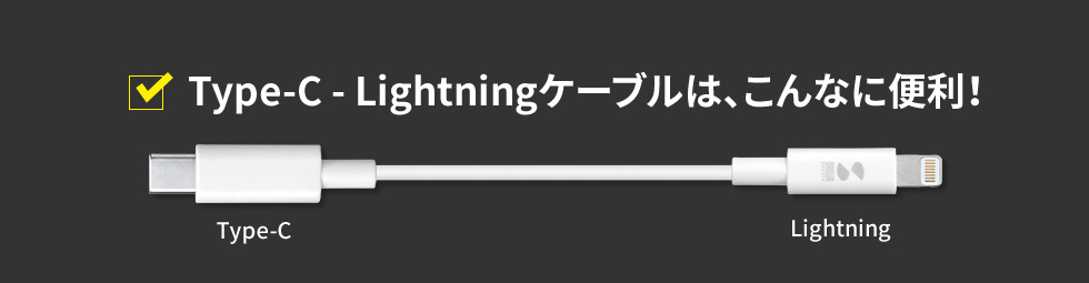 Type-C - LightningP[u͂Ȃɕ֗