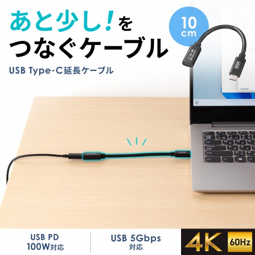 USB5Gbps Type-CP[uBDisplayPort Alternate Modei4K60HzjEPD100WΉE0.1mB