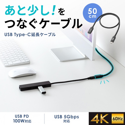 USB5Gbps Type-CP[uBDisplayPort Alternate Modei4K60HzjEPD100WΉE0.5mB