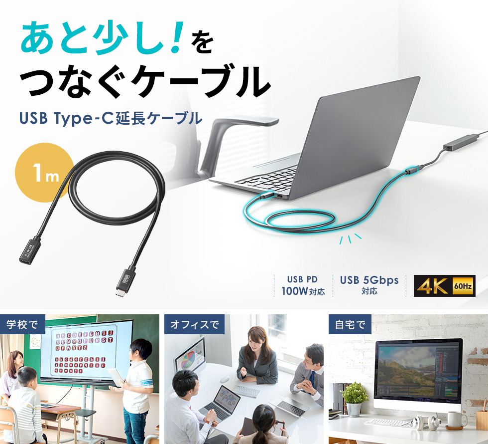 USB5Gbps Type-CP[uBDisplayPort Alternate Modei4K60HzjEPD100WΉE1mB