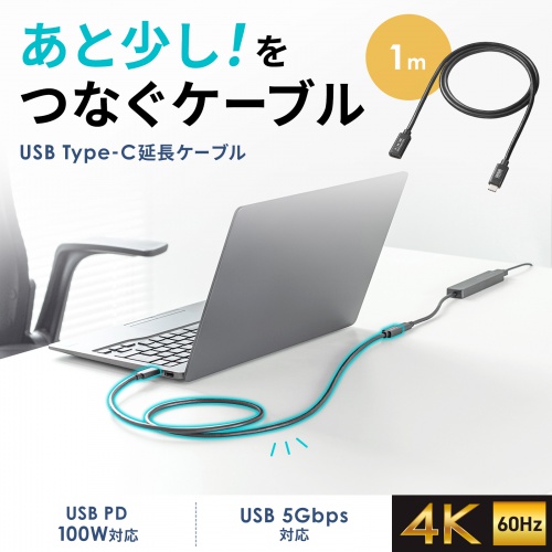 USB5Gbps Type-CP[uBDisplayPort Alternate Modei4K60HzjEPD100WΉE1mB