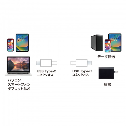 USB 2.0 Type-CP[uBUSB-IFFؕiEPD60WΉE1.5mEzCgB