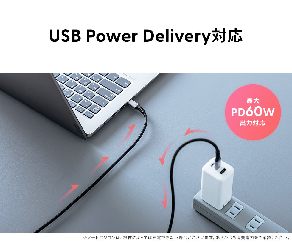 USB Power DeIiveryΉ