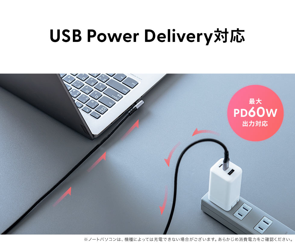 USB Power DeIiveryΉ