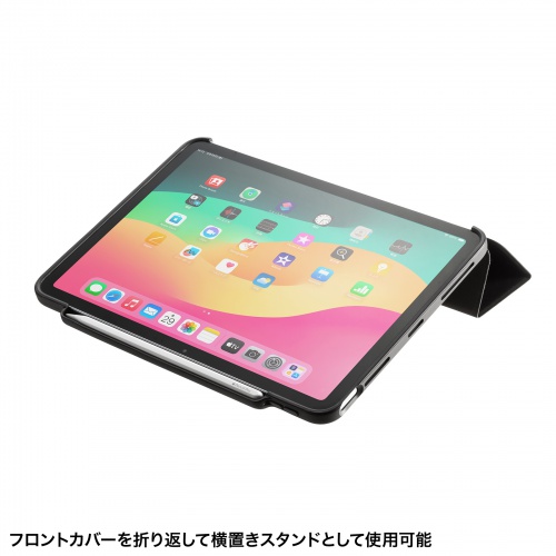 PDA-IPAD1714BK2̉摜